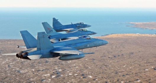 Video of NATO and Partner Air Forces Over Iceland -