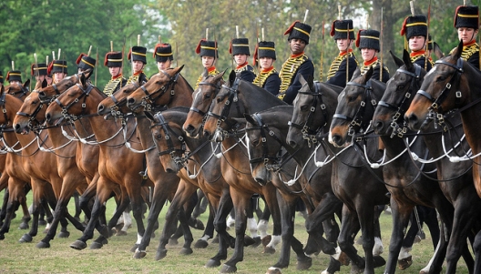 Members of the Kings Troop Royal Horse Artillery training for the ceremonial season