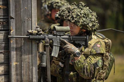 Danish soldiers training in Germany, July 04, 2014