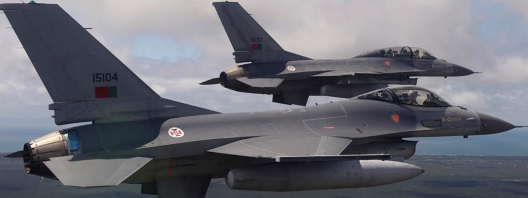 Portuguese F-16s of Squadron 201