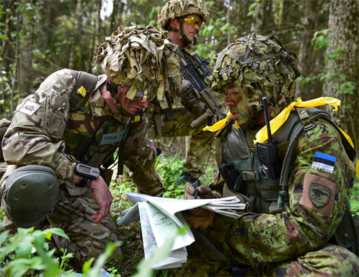 British and Estonian troops participating in Steadfast Javelin, May 18, 2014
