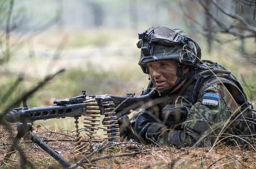 Estonian soldier participating in Steadfast Jazz exercise, Nov. 2, 2013
