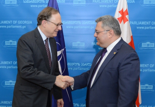 NATO Deputy Secretary General Alexander Vershbow and Chairman of the Parliament of Georgia David Usupashvili, Jan. 25, 2015