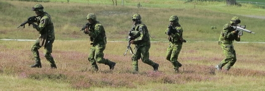 Swedish soldiers training, Aug. 25, 2013