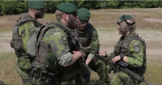 Swedish Marines participating in BALTOPS exercise with NATO units, June 17, 2015