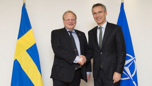 Swedish Defense Minister Peter Hultqvist and Secretary General Jens Stoltenberg, Nov. 18, 2014