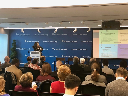 As a part of the ICNC’s monograph launch, Dr. Elizabeth Wilson presented her core arguments behind the concepts of people power movements and international human rights.  