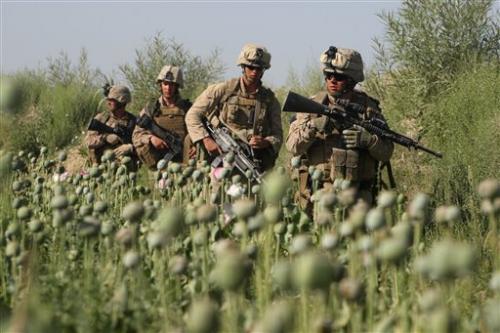 Russia, NATO to Discuss Afghan Drug Issue in Brussels on March 24