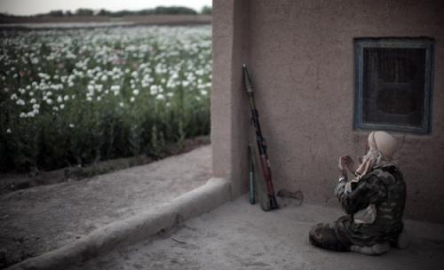 A New Metaphor for Afghanistan