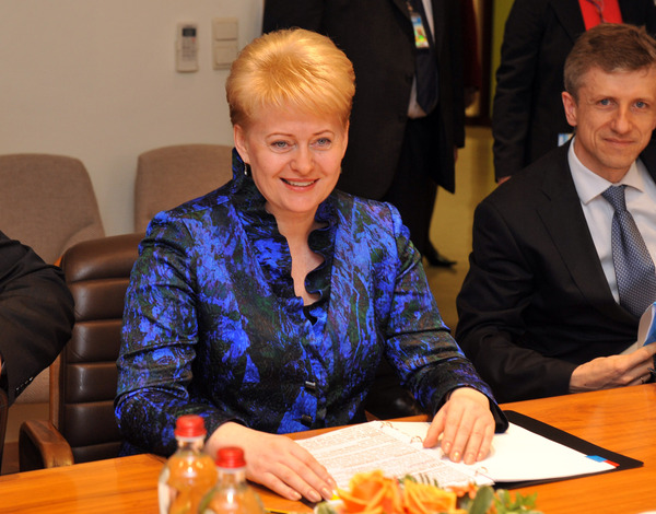 President of Lithuania: 2010 Will Change the Face of NATO