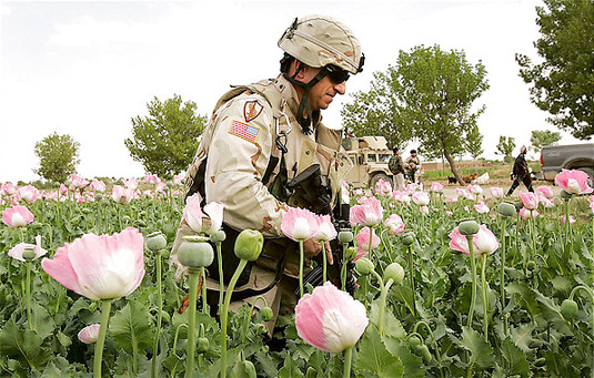 Is NATO to Blame for Russia’s Afghan Heroin Problem?