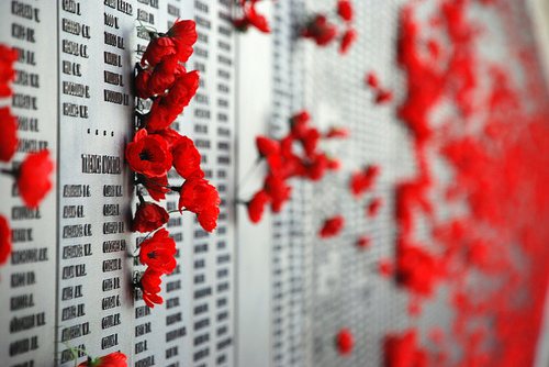 Britain and France in Flanders Fields