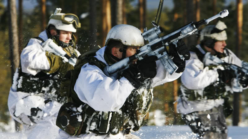 Nordic Alliance:  Mini-NATO or Polar Fog?