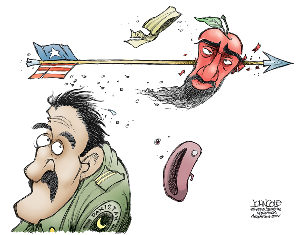 Cartoon: Osama Hiding Where?