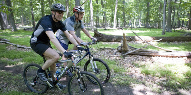 NATO chief falls off bicycle, breaks arm