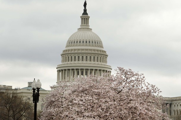 Rep. Turner presses NATO expansion to former Soviet states