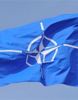 If NATO Delays Path to Georgia’s Membership, What Is the Alternative?