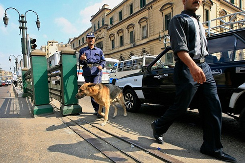 Top News: Fire Destroys Offices at South Cairo Criminal Court; Judge Says Fires Were Deliberate