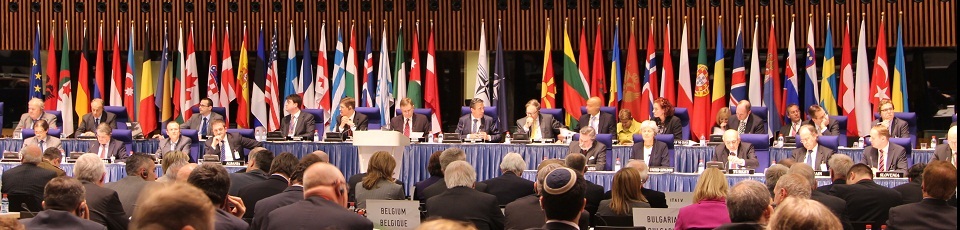 NATO MPs to Visit Israel to Examine Weapons R&D