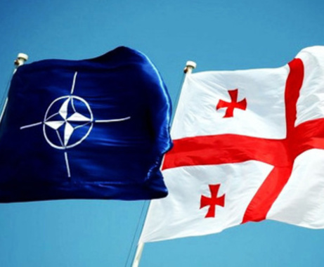 Defense Minister: Georgia to Join NATO Response Force in 2015