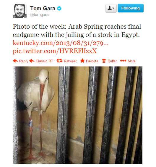 This Week in Egypt – September 6, 2013