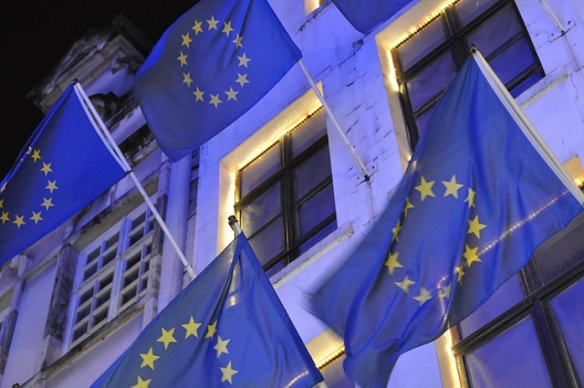 European Parliament Report: Economic Regulations with the US