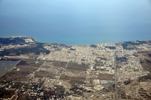 Assessing the State of the Arab Transitions