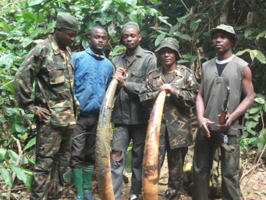 Poaching Peace and Security