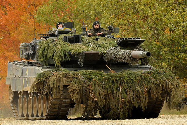German Military Power in an Age of Austerity