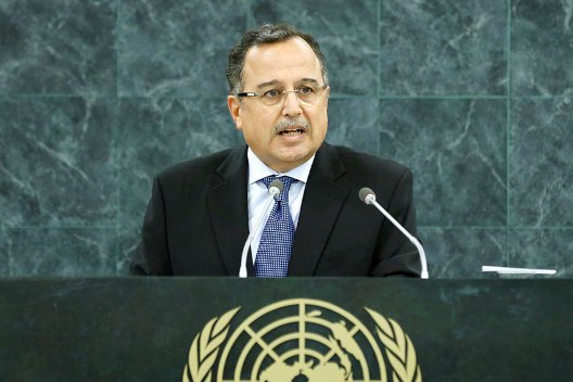 Top News:  Egypt to Hold Parliamentary Vote in February/March: Foreign Minister