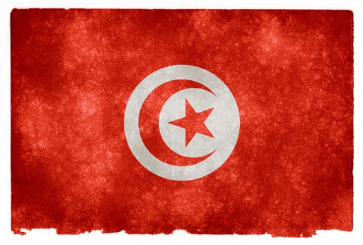 Top News: Tunisia Starts Voting on New Constitution