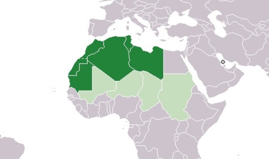 North African Transitions in 2014
