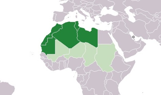 North African Transitions in 2014
