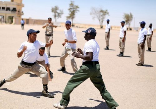 Libyan Recruits