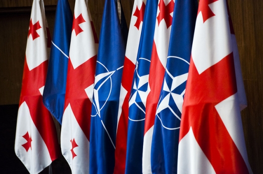 Georgia Sets Sights On NATO Membership Action Plan