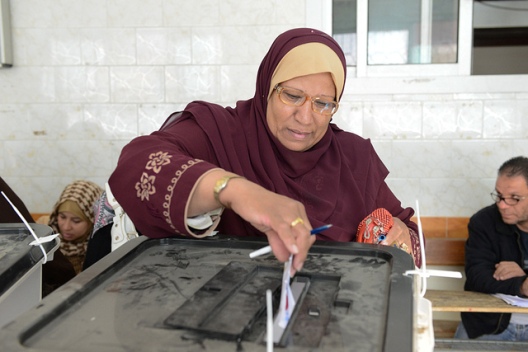 Egypt’s Presidential Elections: The Key Step in Egypt’s Roadmap [Part I]