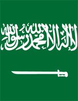 Working Group on Defense Industrialization in Saudi Arabia and the UAE