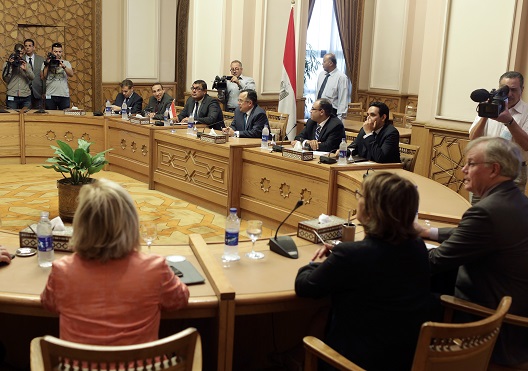 Egypt Elections: Preliminary Statements by Two International Observation Missions