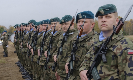 What NATO Needs to Do in the Wake of the Ukraine Crisis