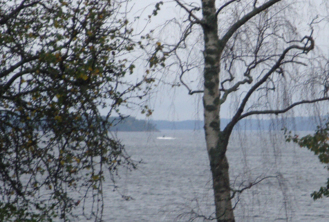 Sweden’s Mysterious Submarine Hunt and Its Significance for Nordic-Baltic Security