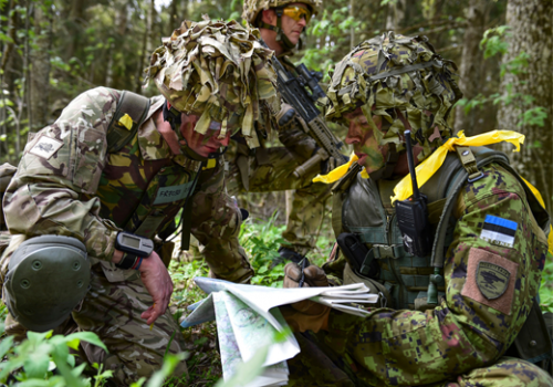 British and Estonian troops participating in Steadfast Javelin, May 18, 2014