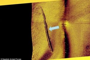Sonar image allegedly shows sub-sea tracks left by a mini-submarine