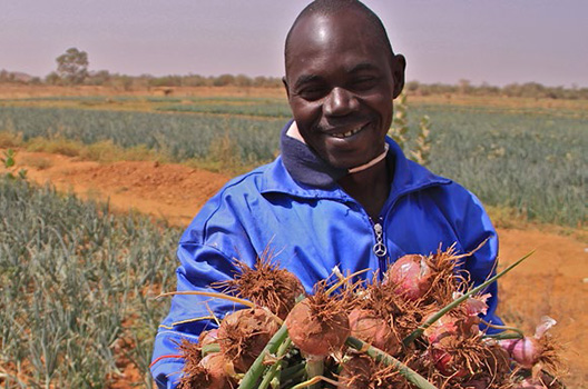 Addressing the food, water, and energy nexus:  transatlantic perspectives and Africa’s great chance