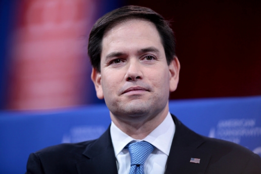 Senator Rubio Calls for NATO to ‘Rollback Russian Aggression’