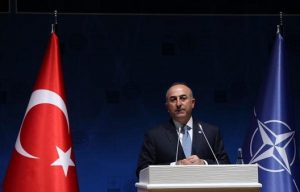 Turkish Foreign Minister Mevlut Cavusoglu, May 13, 2015