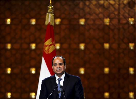 One Year On: Domestic Politics Under Sisi