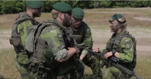 A Powerful Case for Swedish Membership in NATO