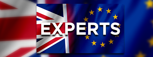 Brexit experts