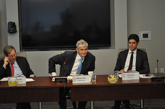 Climate and Sustainability Roundtable with H.E. Mogens Lykketoft