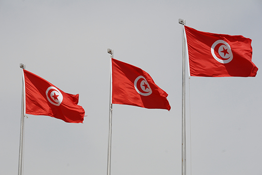 Tunisian Economic Reforms: Between Textiles and Terrorism